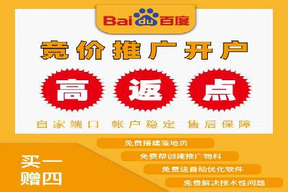 成功SEM推广竞价案例分享